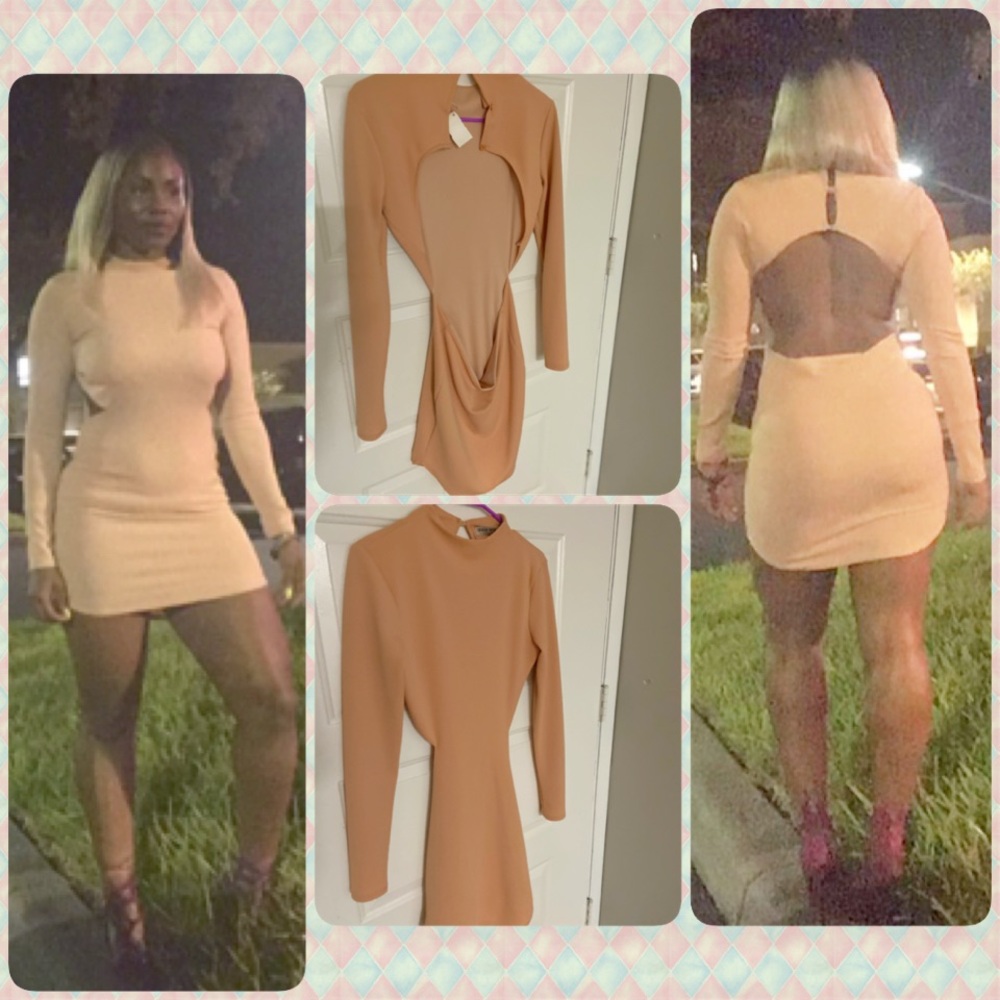 Plush Long Sleeve V-Back Dress